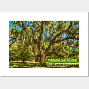 Cumberland Island National Seashore Posters and Art